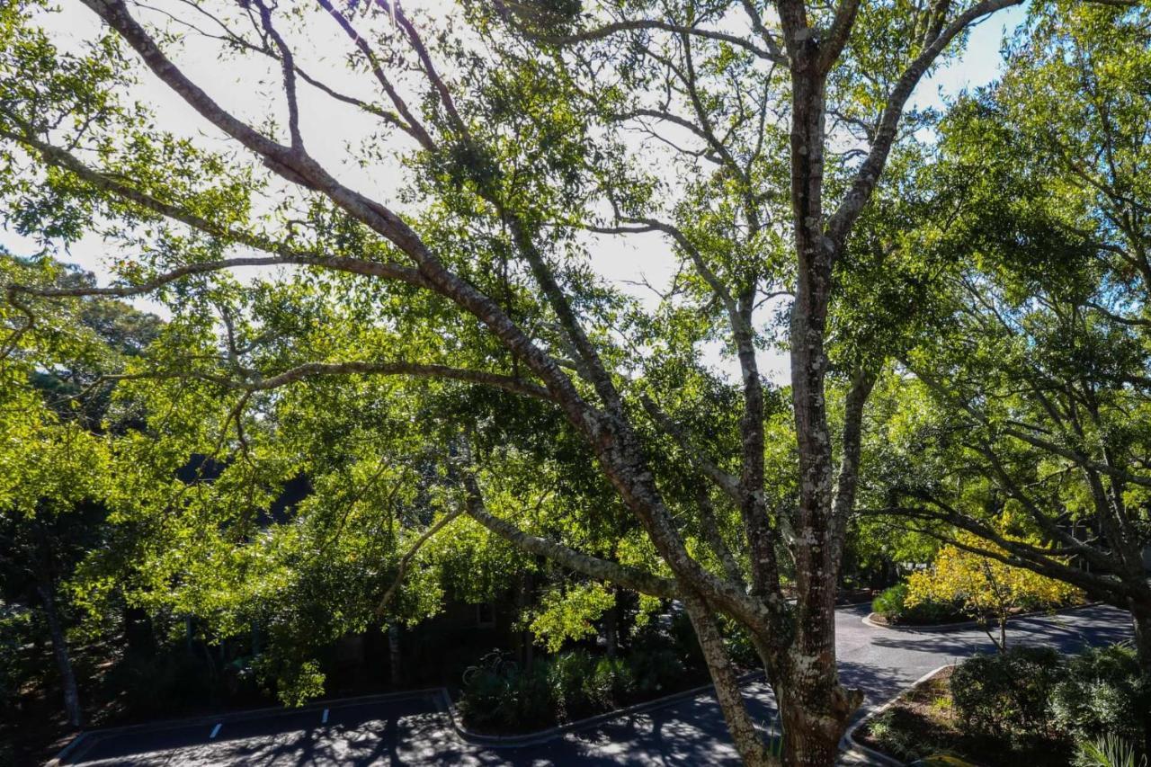 Relax, Renew, Retreat Villa Kiawah Island Kültér fotó